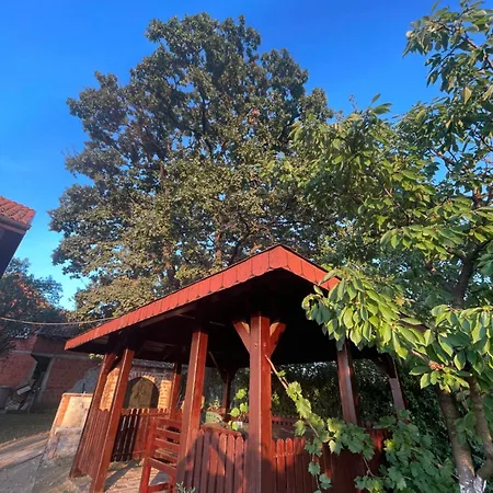 Villa Plavinac *