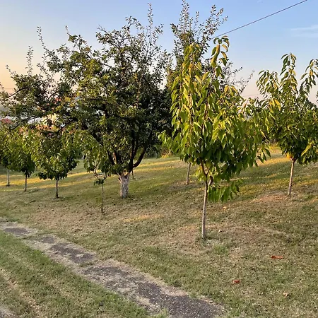 Plavinac Villa Smederevo