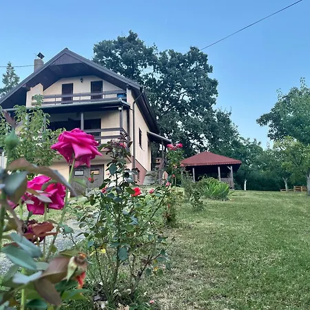 Plavinac Villa *