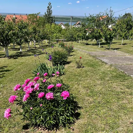 Plavinac Villa