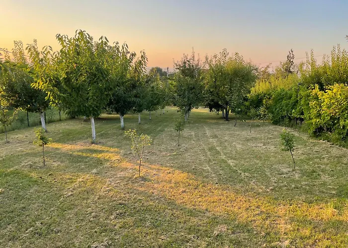 Plavinac * 斯梅代雷沃