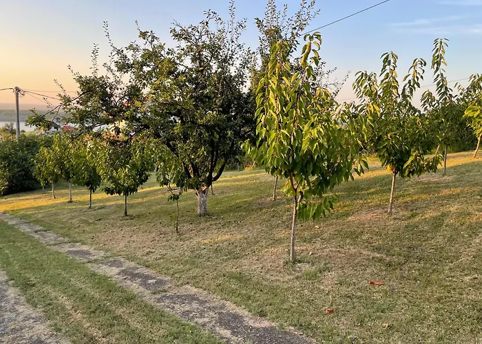 Plavinac 别墅 斯梅代雷沃