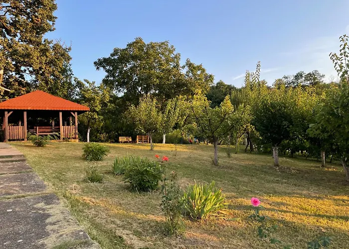 Plavinac 斯梅代雷沃